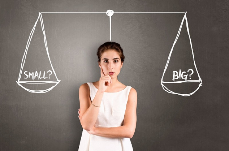 Small vs Big Company – Does Company Size Matter?